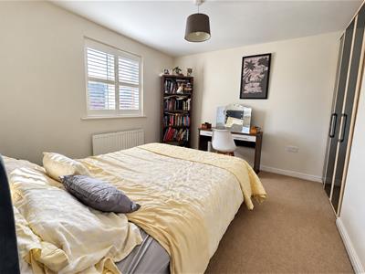 Picture 14